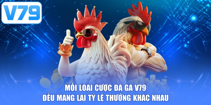Mỗi loại cược đá gà V79 đều mang lại tỷ lệ thưởng khác nhau
