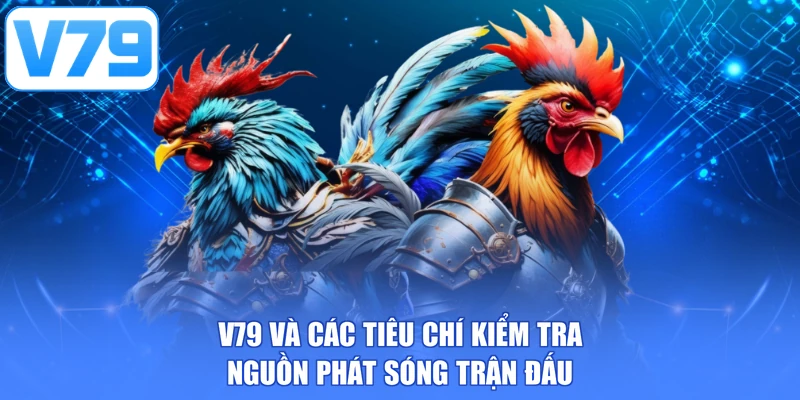 V79 và các tiêu chí kiểm tra nguồn phát sóng trận đấu